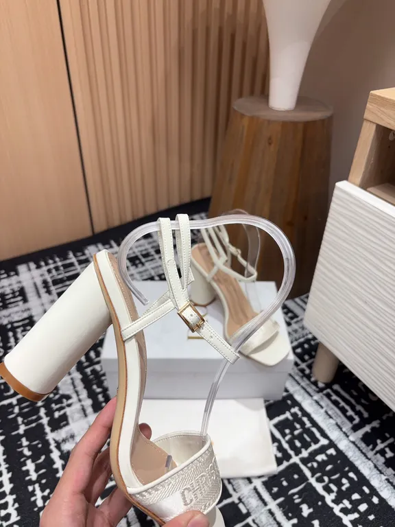 Dior Shoe 